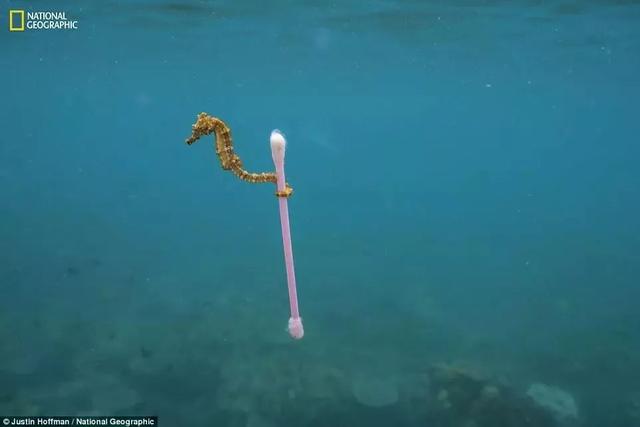 《國(guó)家地理》聚焦 “塑料星球”,人類之殤！